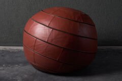 Leolux Ball Chair