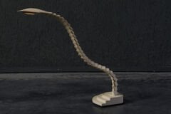 JM RDM Massanzago Proteo Desk Lamp